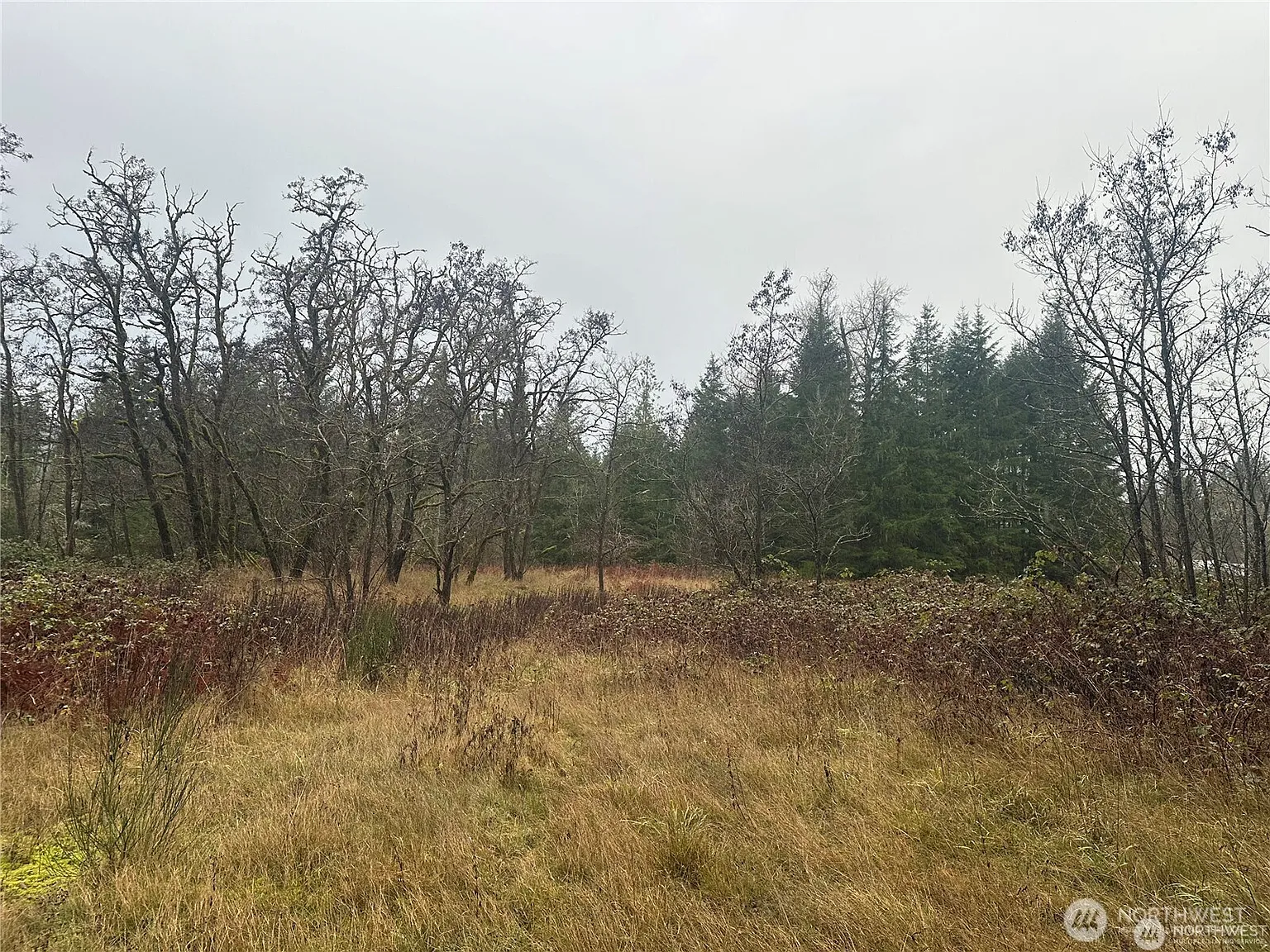 44606 Concrete Sauk Valley Road photo 1