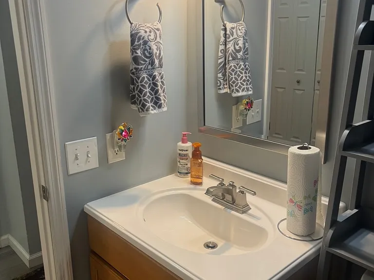 428 Springwood Place Ct — Photo 16