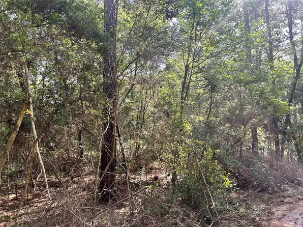 LOT 28 Sycamore Ln, Plantersville, TX 77363