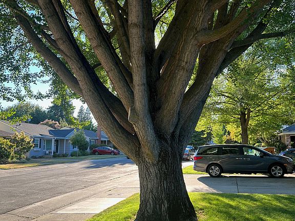 4th image of 1367 Weller Way