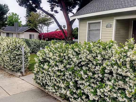 4th image of 7657 Washington Ave
