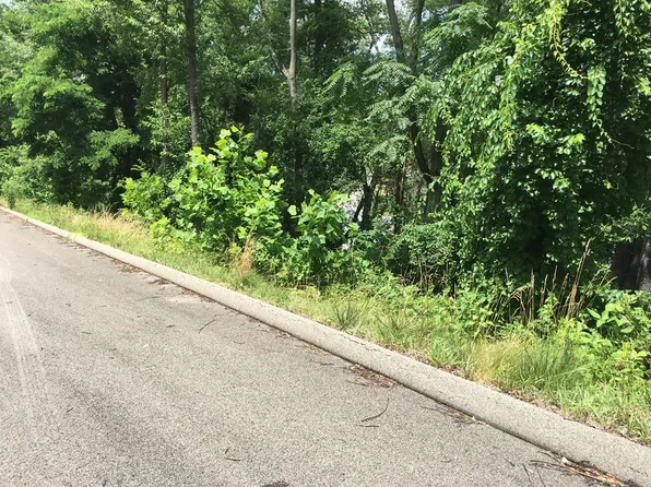 tbd Daisy Field Lot 4, Wheeling, WV 26003