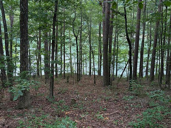 3rd image of Bear Mountain Rd