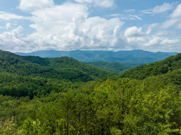 Firefly Rd, Whittier, NC 28789