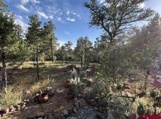 24888 Timothy Rd, Cedaredge, CO 81413