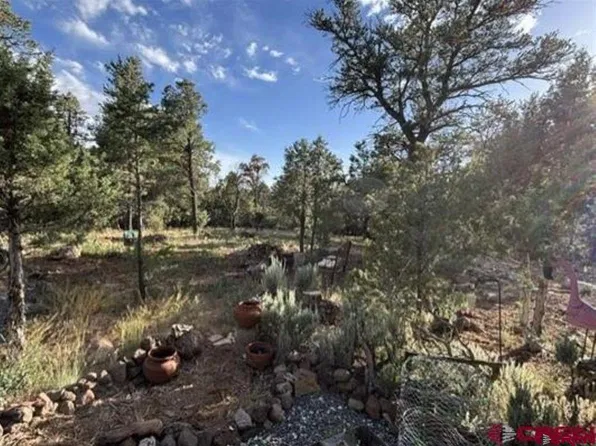 24888 Timothy Road, Cedaredge, CO 81413