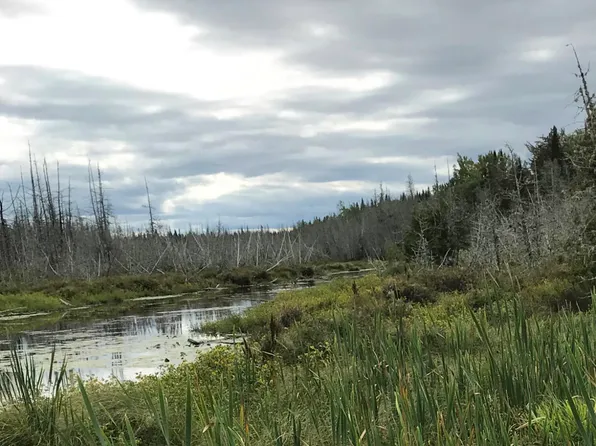 0 Hollywood Road Estates, Hodgdon, ME 04730