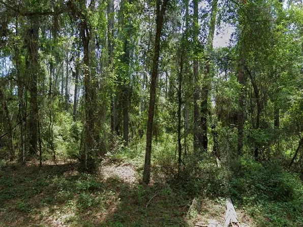 1032 Vercelli Ln Lot 4, Dunnellon, FL 34434