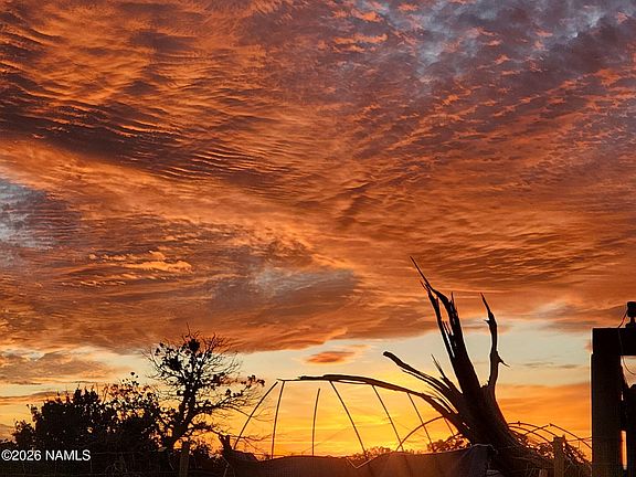 2nd image of 7211 E Roper Cir Lot C