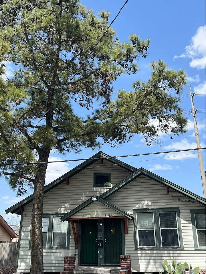 2 bed, 900 sqft, $1,190 — Photo 2
