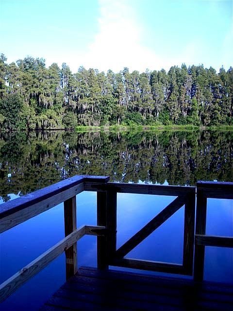 new dock at Moss Lake