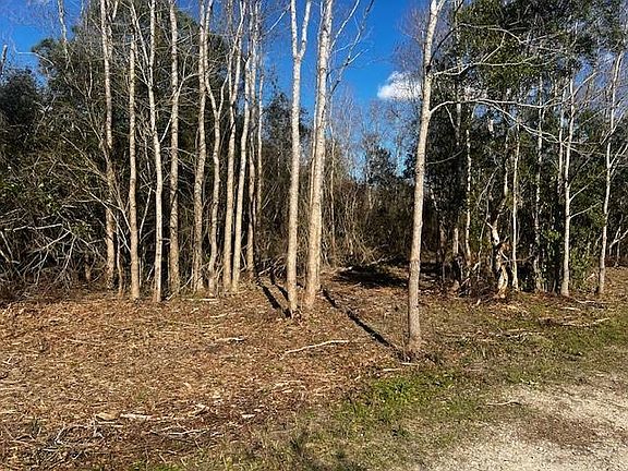 2nd image of 0 Bellingrath Rd #B