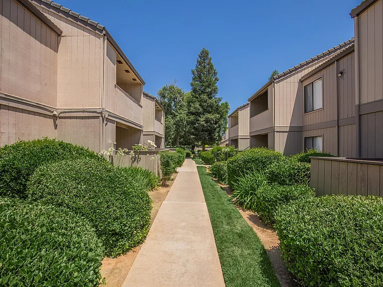Renaissance Apartments — Photo 14