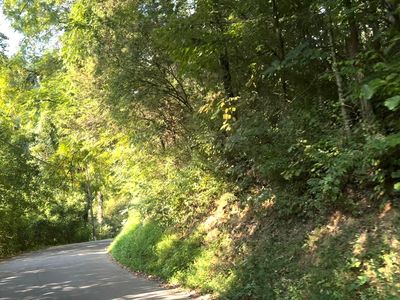 T2 Caney Creek Rd, Pigeon Forge, TN, 37863
