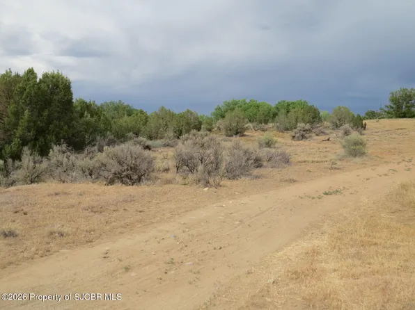 LOT 4A Road 2950, Aztec, NM 87410