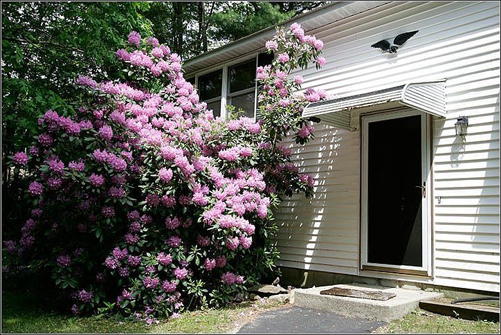 2nd image of 6 Woodridge Dr