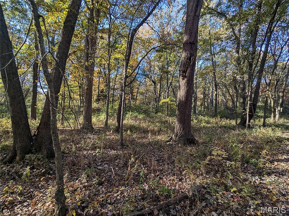 2nd image of 0 N Moonbeam Ln