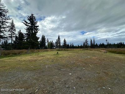 31323 Jodys Bliss Rd, Anchor Point, AK, 99556