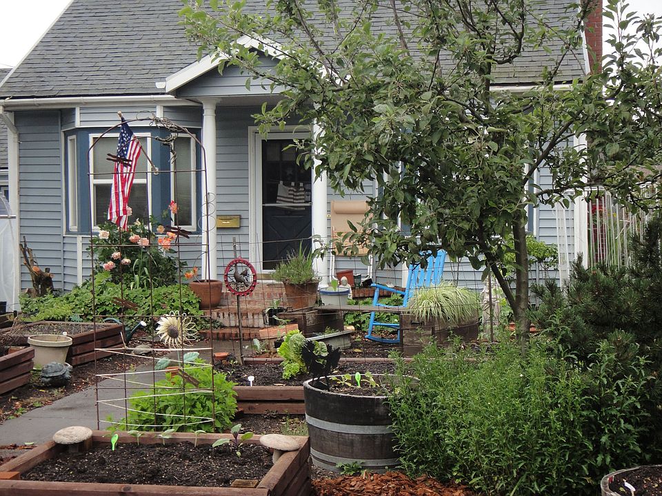front yard, spring