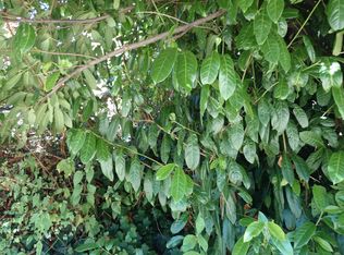 3865 34th Ave SW, Seattle, WA 98126