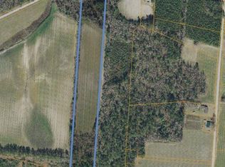 Plainfield Rd, Galivants Ferry, SC 29544