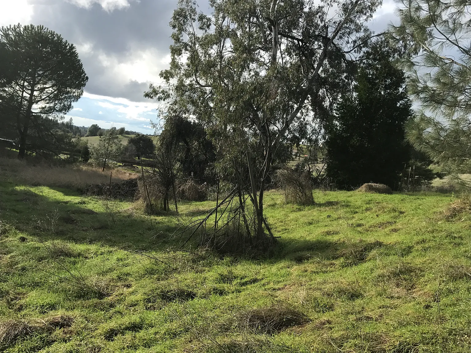 17455 Red Mule Rd photo 1