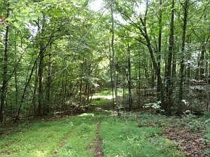 2nd image of TRACT 1 Green Stable Ln