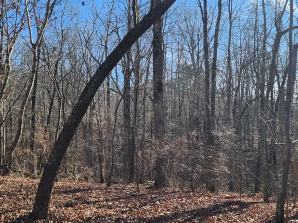 LOT 35 Road 9050, Mentone, AL 35984