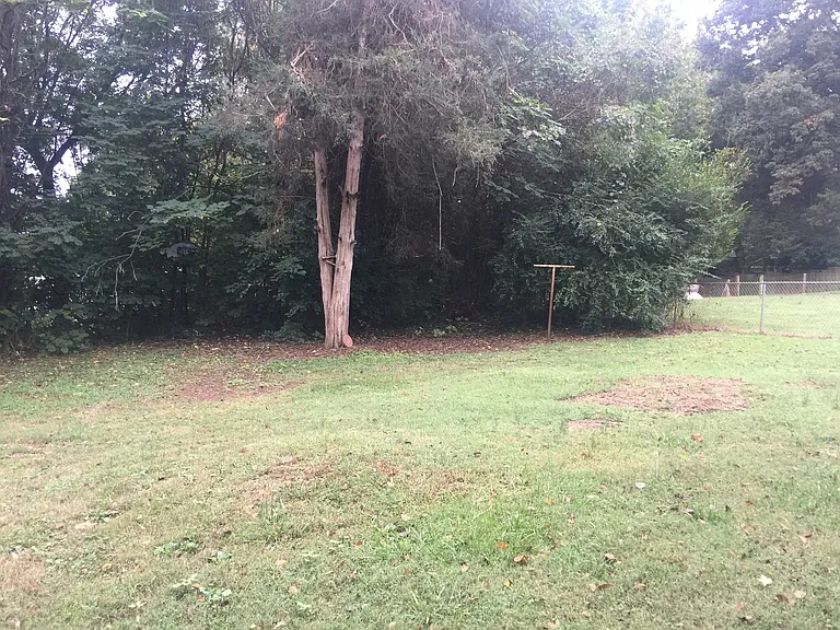 1732 McKnight Mill Rd — Photo 10