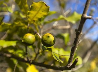 55-749 Maliu Rd LOT 4, Hawi, HI 96719