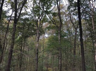 0 Lavonia Rd, Carnesville, GA 30521