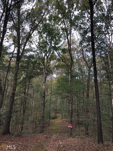 0 Lavonia Rd, Carnesville, GA, 30521