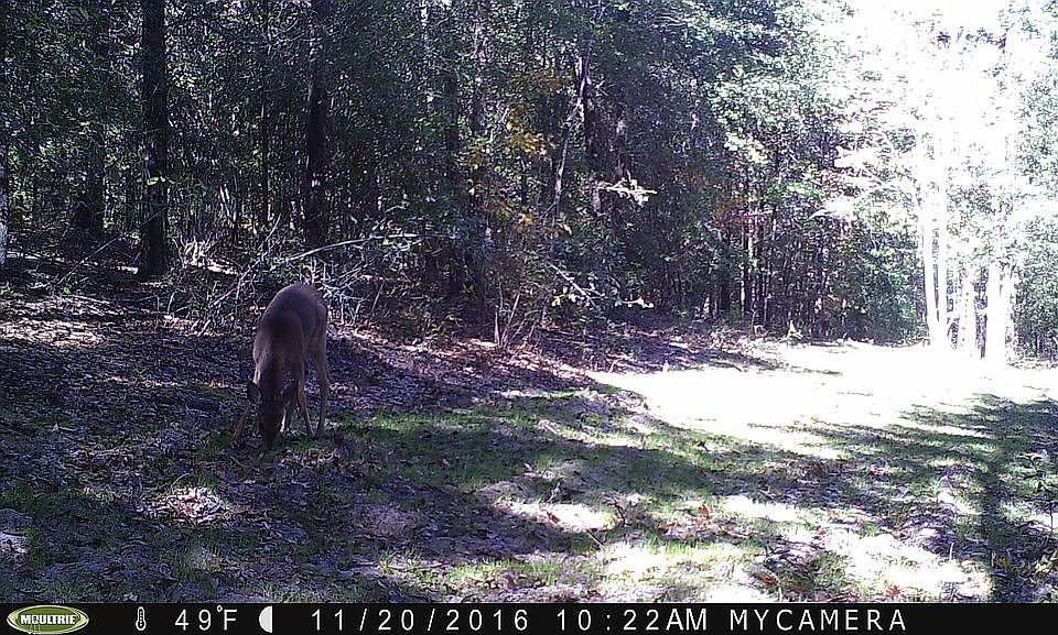 1st image of 16203 Old Ganey Rd