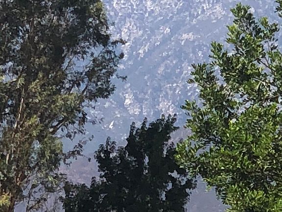 2nd image of 8655 Calle Del Prado