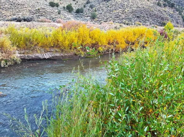 17888 N Outlaw South Rd, Panguitch, UT 84759