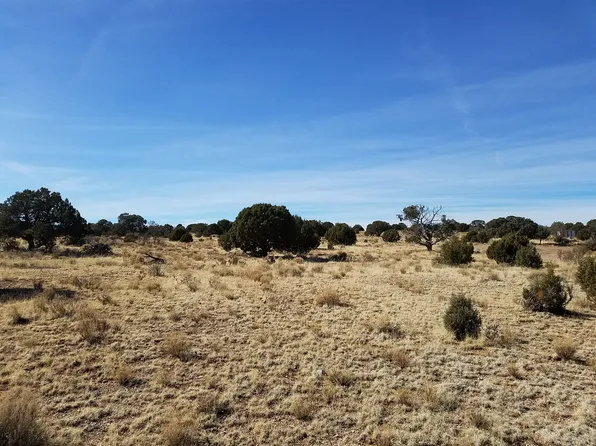 Heavenly Hills Dr, Seligman, AZ 86337