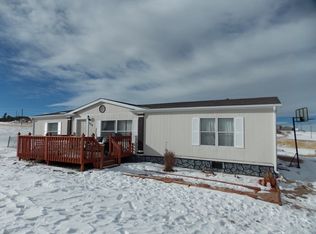 379 Doublet Ln, Divide, CO 80814