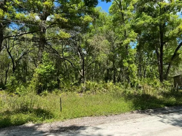 Tbd NE 472nd Avenue, Old Town, FL 32680