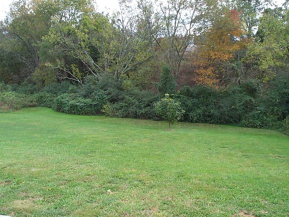 Beautiful backyard in fall