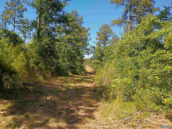 3rd image of TRACT-12C Thirteen County Rd #711