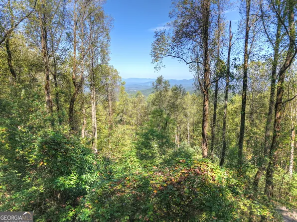 LOT 296 Andes Rdg, Ellijay, GA 30536