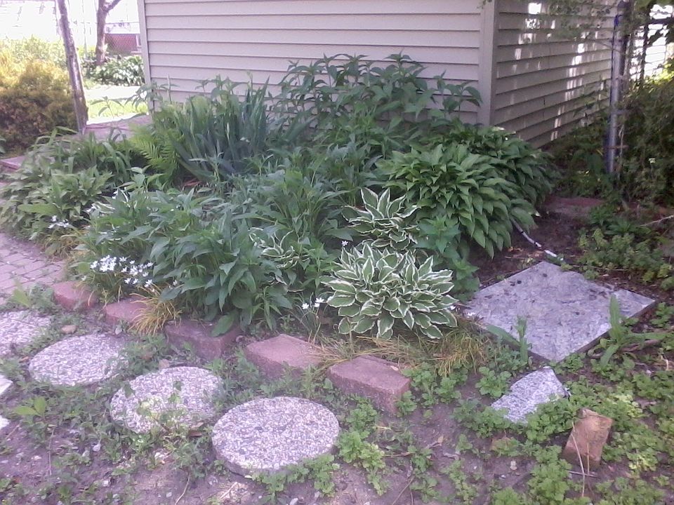 My alley garden