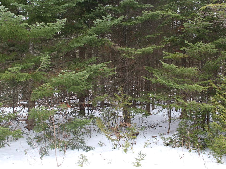 1st image of Nagel Hwy