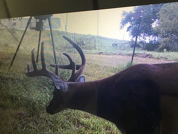 4th image of 6645 High Freeland Rd