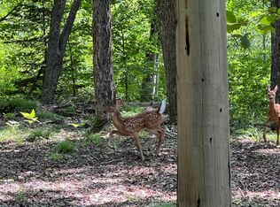 LOT 2 Sopko Rd, Mercer, WI 54547