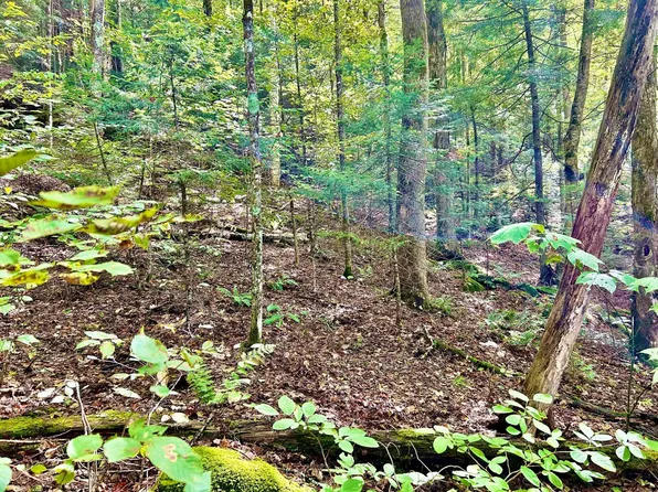 Carr Road #157, Haverhill, NH 03785