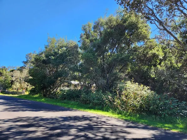10 Painiu Loop Lot 10, Volcano, HI 96785