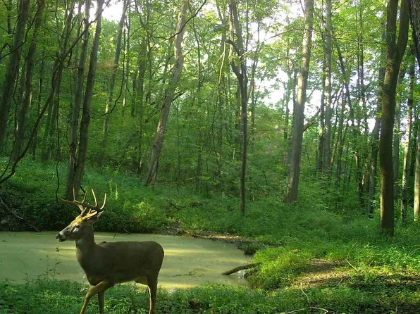 S5386 O'Neil Road, Baraboo, WI 53913
