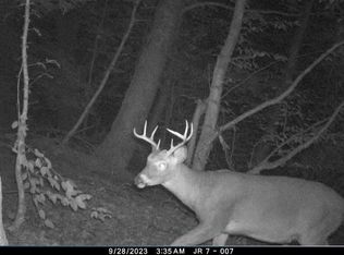 0 Sands Creek Rd, Hancock, NY 13783