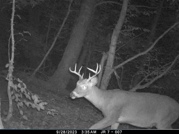 0 Sands Creek Rd, Hancock, NY 13783